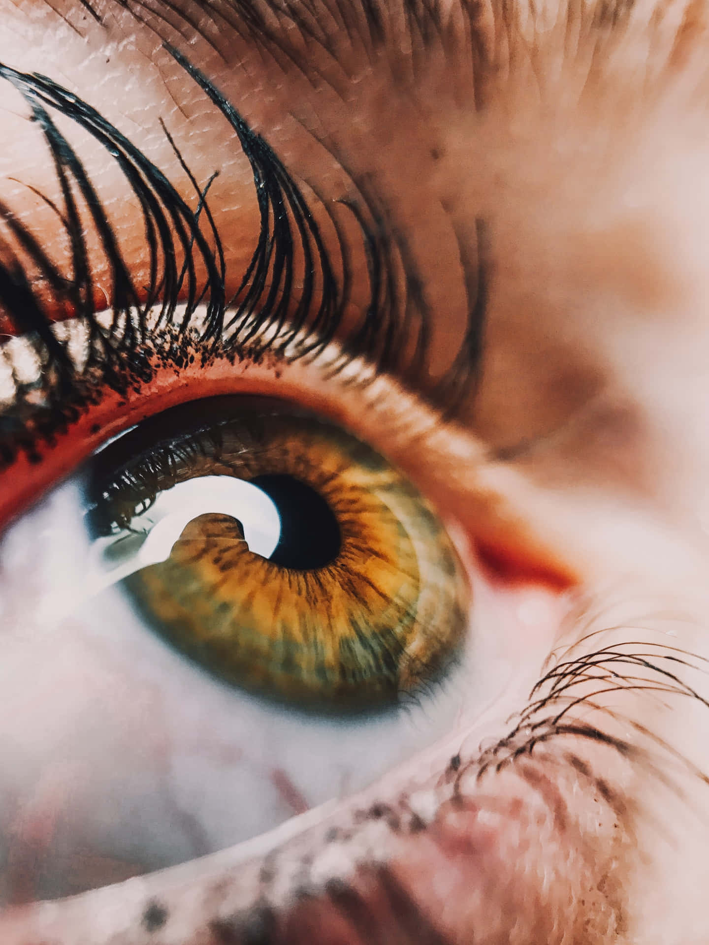 A Close Up Of A Person's Eye With Long Eyelashes