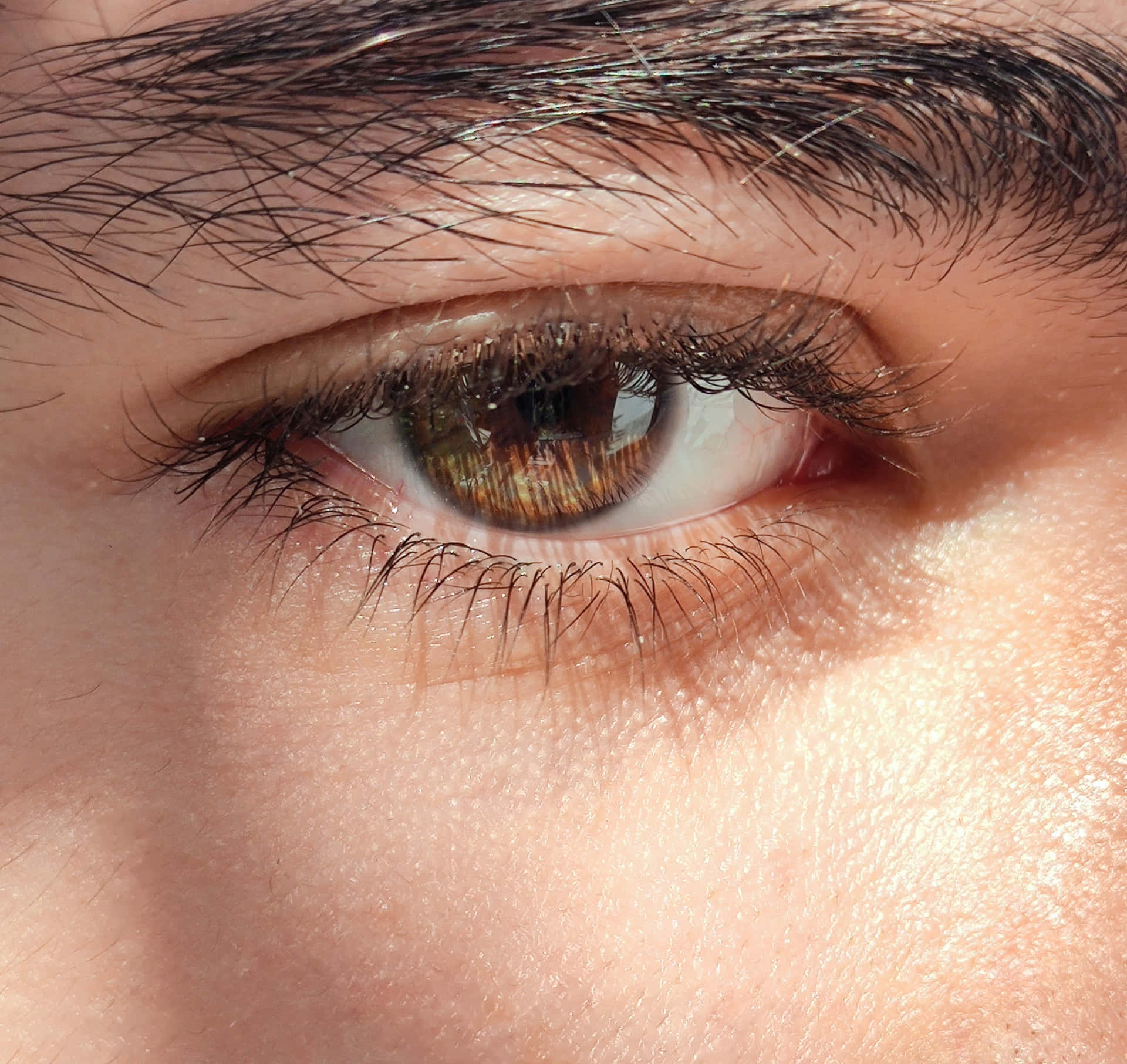A Close Up Of A Man's Eye With Brown Eyes