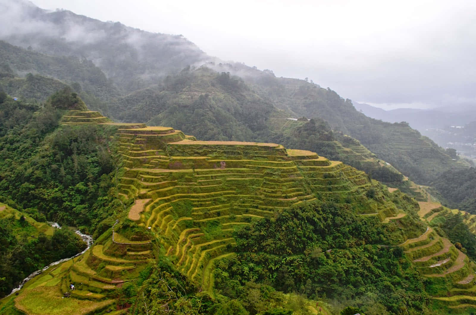 Tågede Banaue ris-terrasserne i Filippinerne Wallpaper