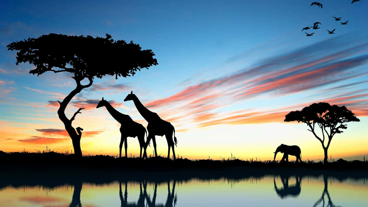 Silhouette Of Giraffe And Elephant Hd Africa Background