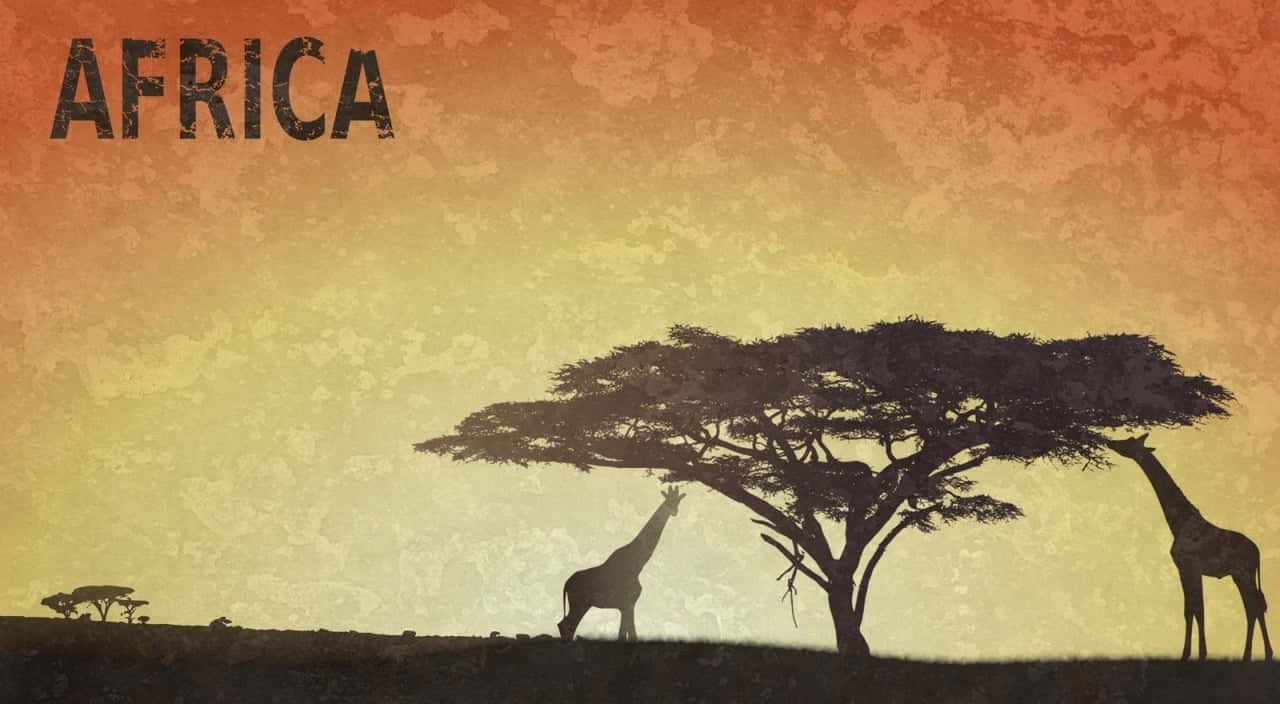 Giraffes Serengeti National Park Hd Africa Background