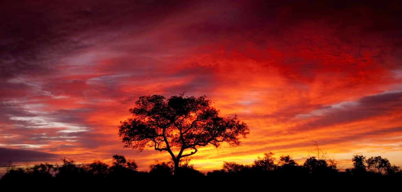 Colorful Sunset View Hd Africa Background