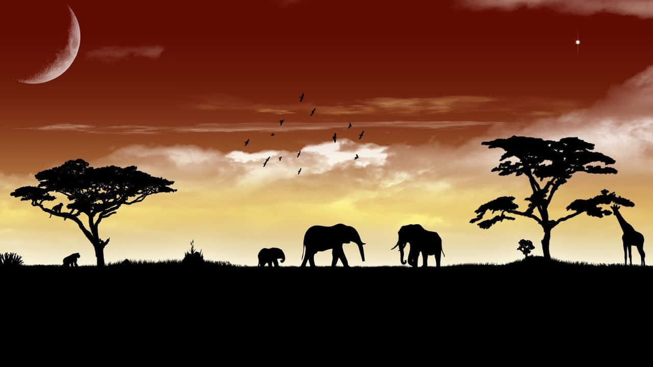 Elephants And Giraffes Silhouette Hd Africa Background