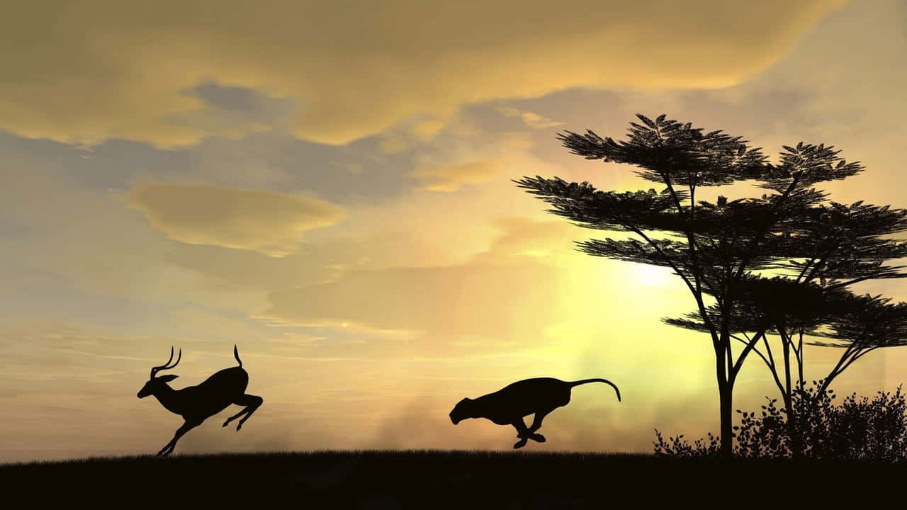 Silhouette Of Cheetah Chasing Gazelle Hd Africa Background