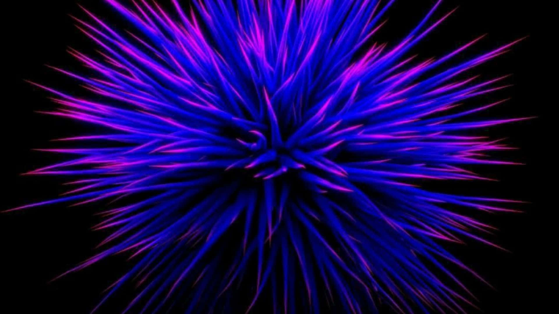 A Purple And Blue Spiky Flower On A Black Background