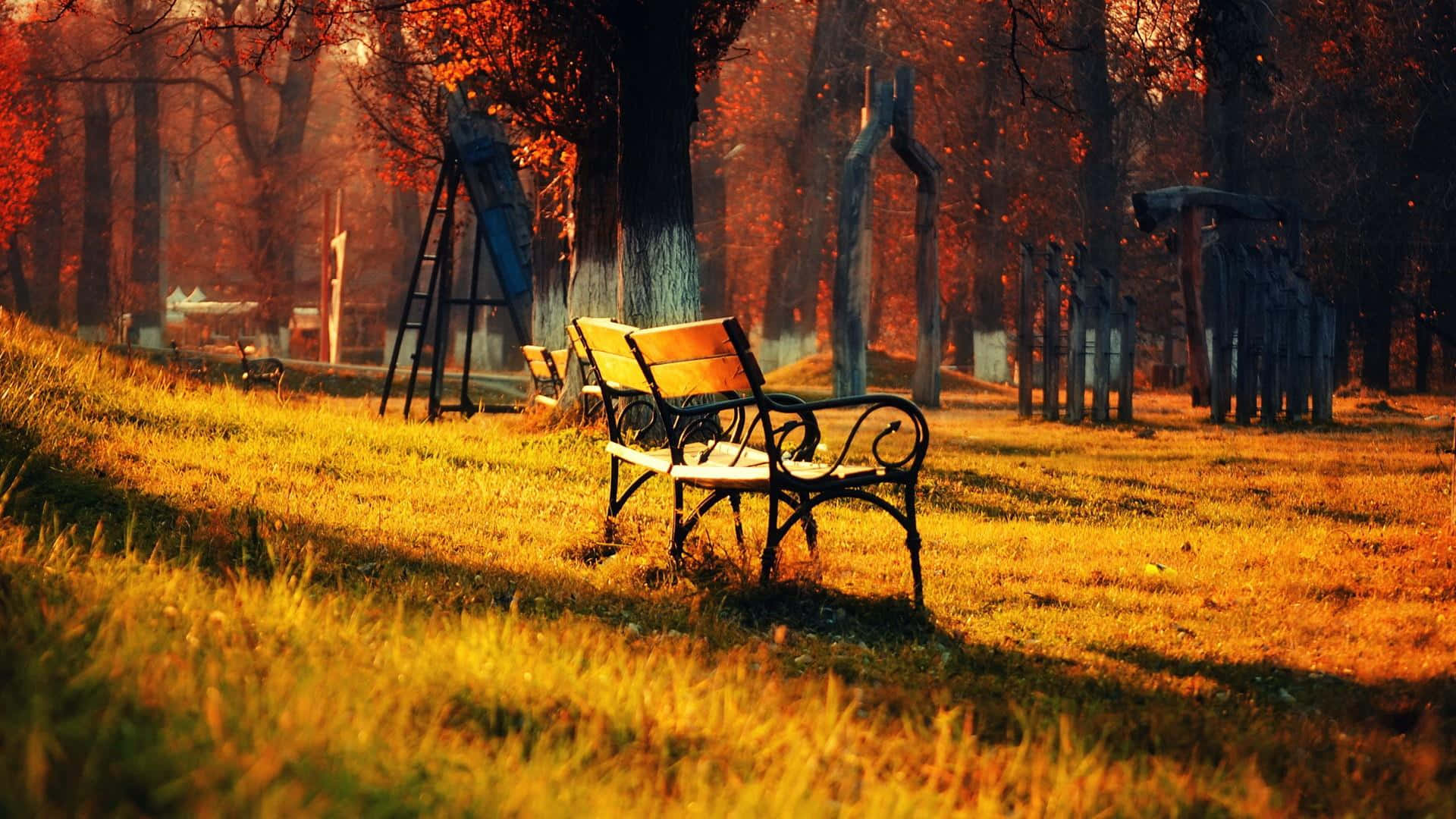 Hd Autumn Bench At A Playground Wallpaper