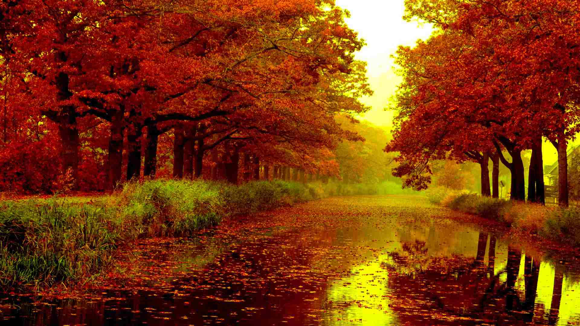 HD Autumn River Wallpaper