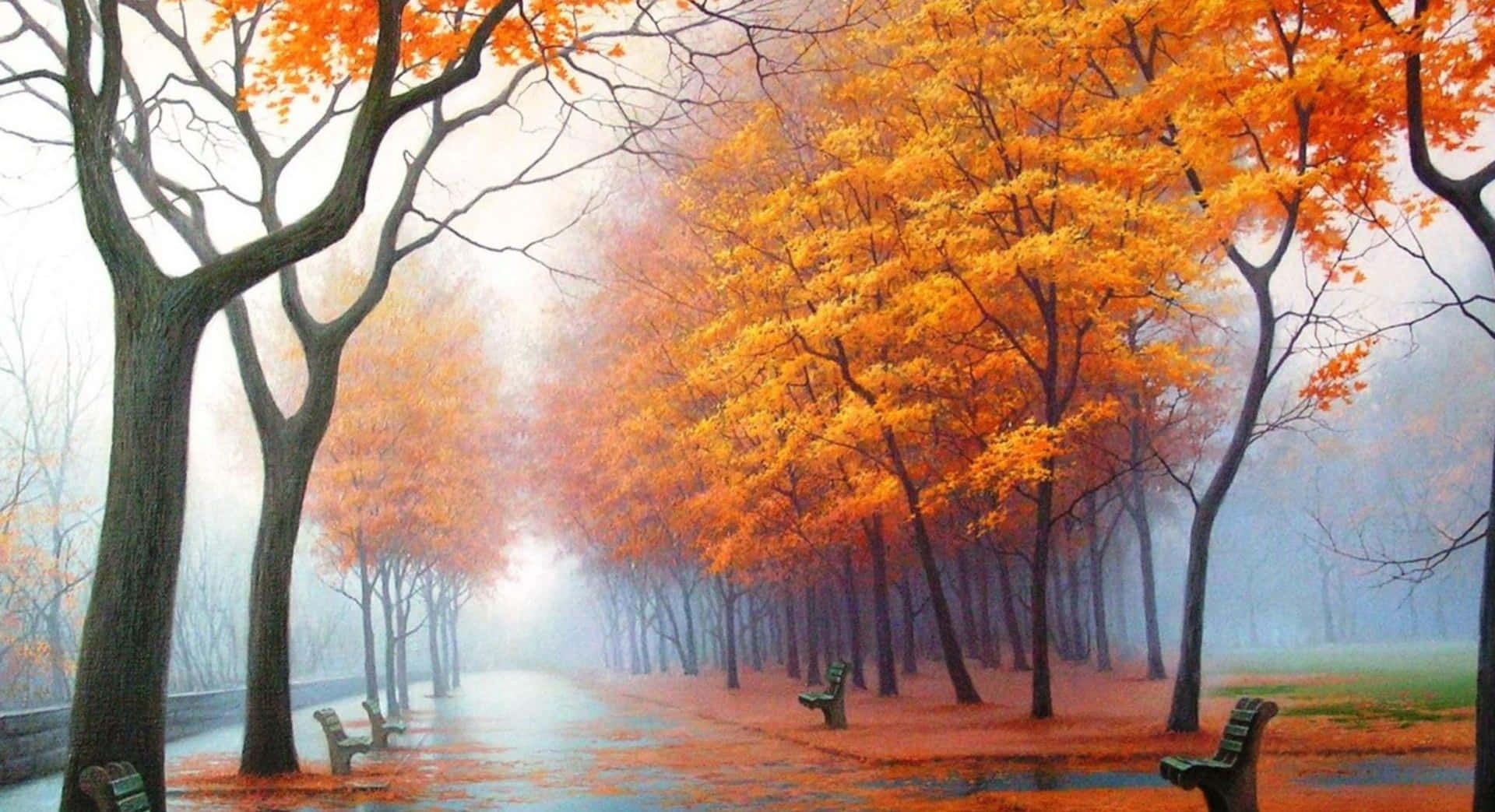 Einmalerischer Blick Auf Den Wald Während Der Herbstsaison Wallpaper