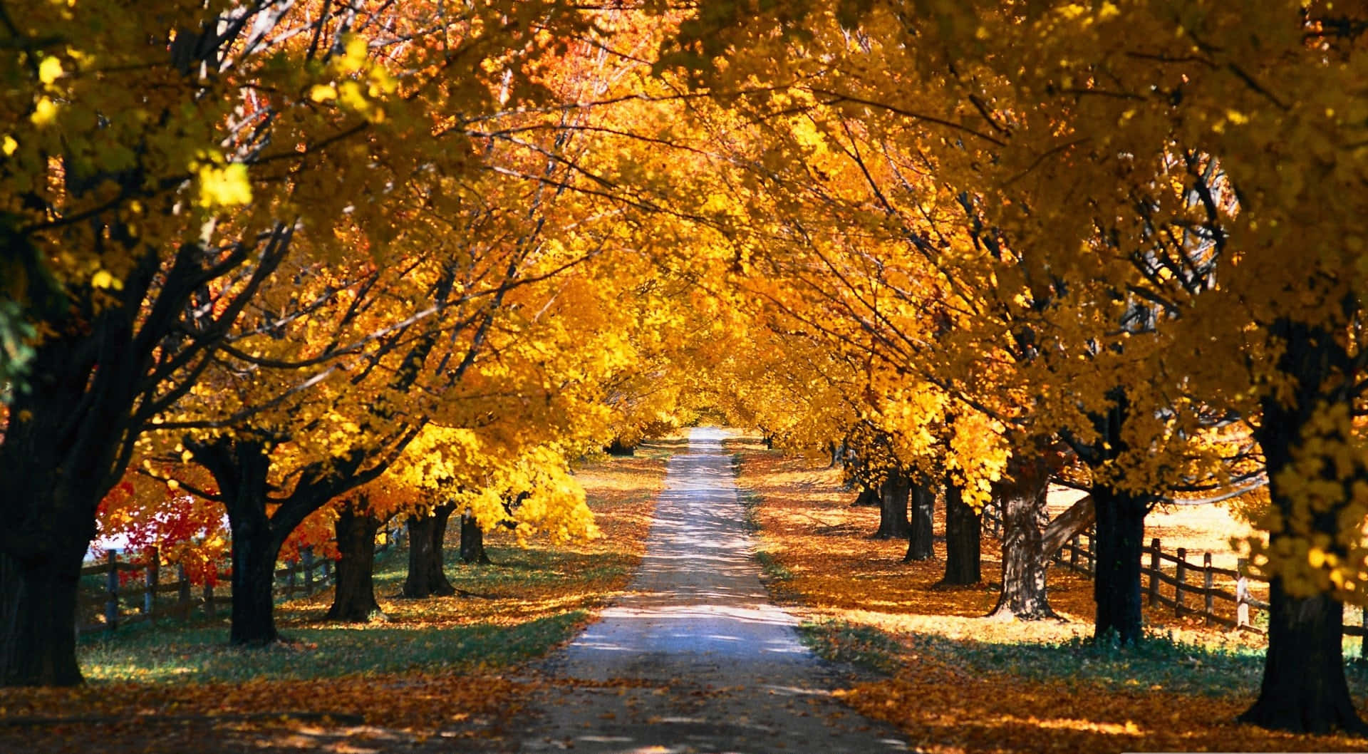 autumn country road wallpaper