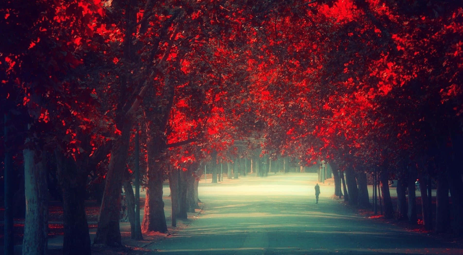 Red Trees Canopy HD Background