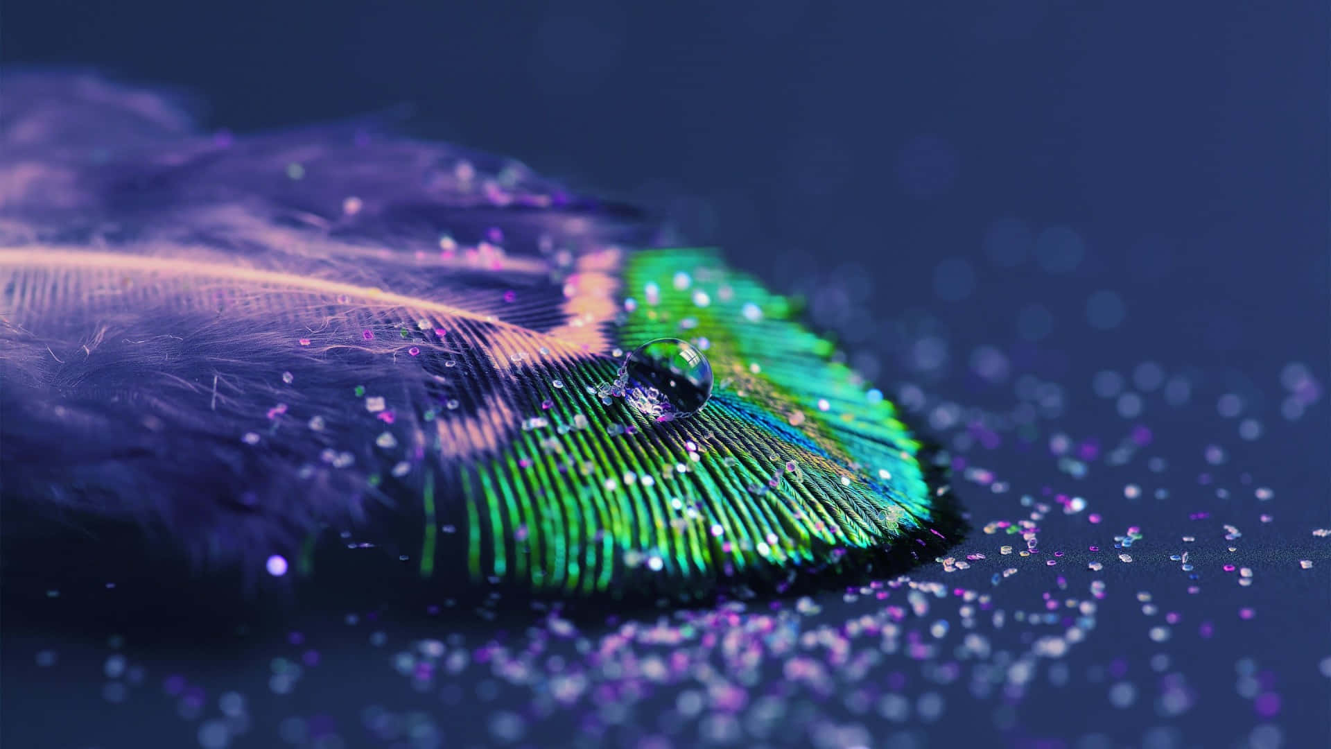 a purple feather with glitter on it Wallpaper
