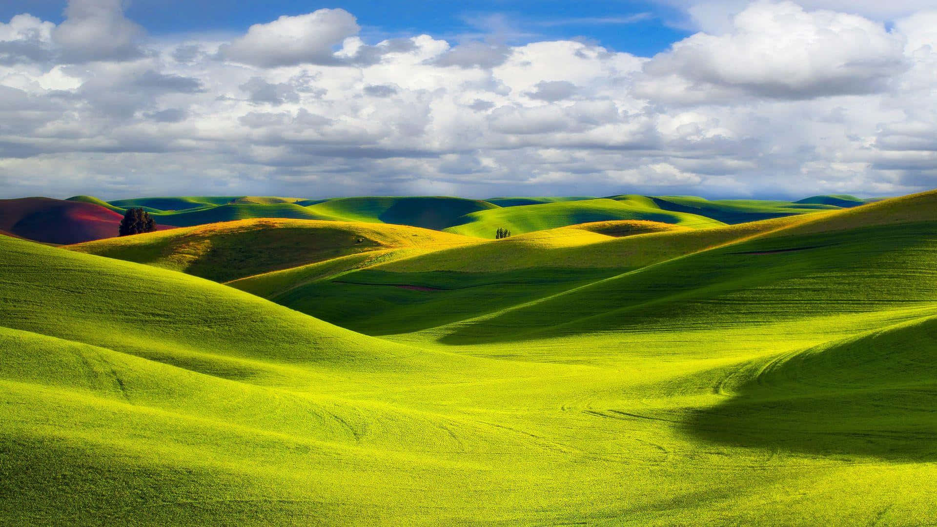 HD Background Green Hill Landscape Wallpaper