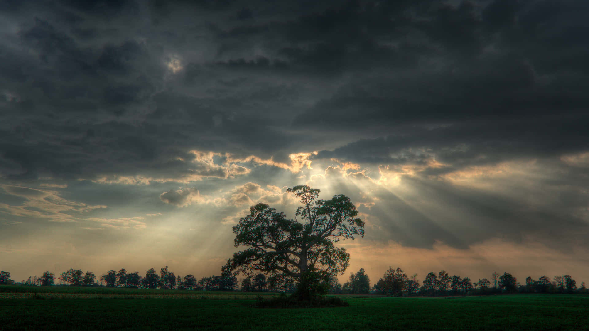 Hd Background Light Rays Between The Clouds Wallpaper