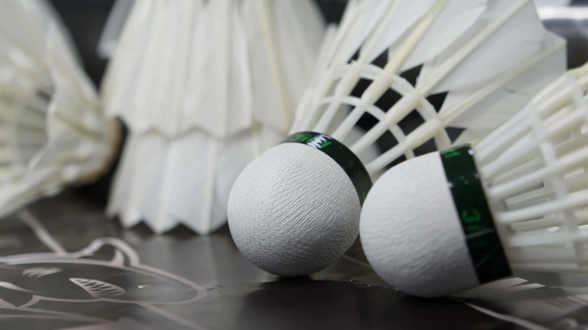 Duegiocatori Dimostrano Le Loro Abilità Nel Badminton In Una Partita Sportiva.