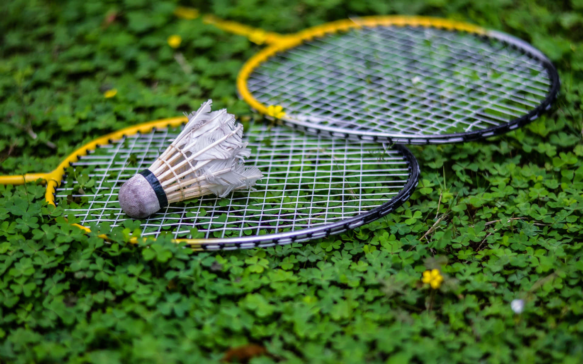 Badminton Rackets And Shuttlecock On Grass