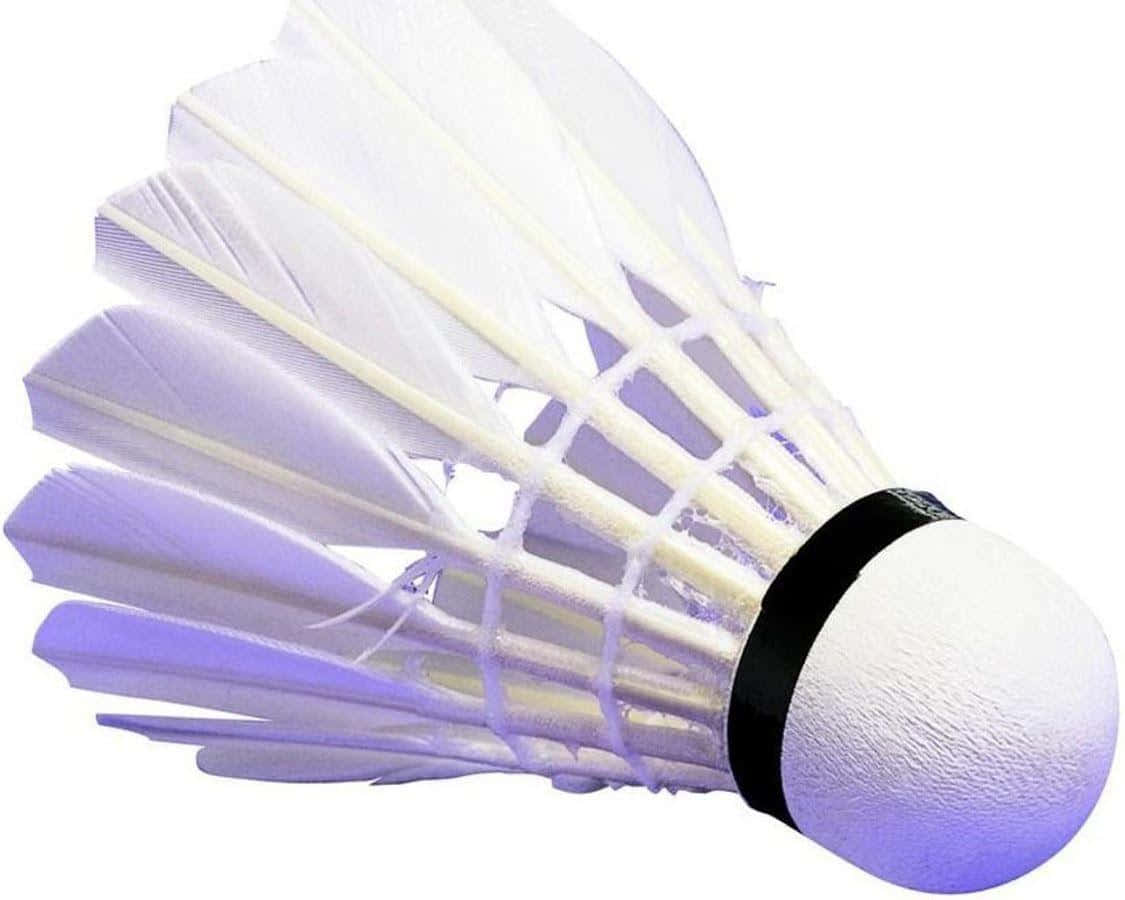 Liberail Tuo Campione Interiore Del Badminton
