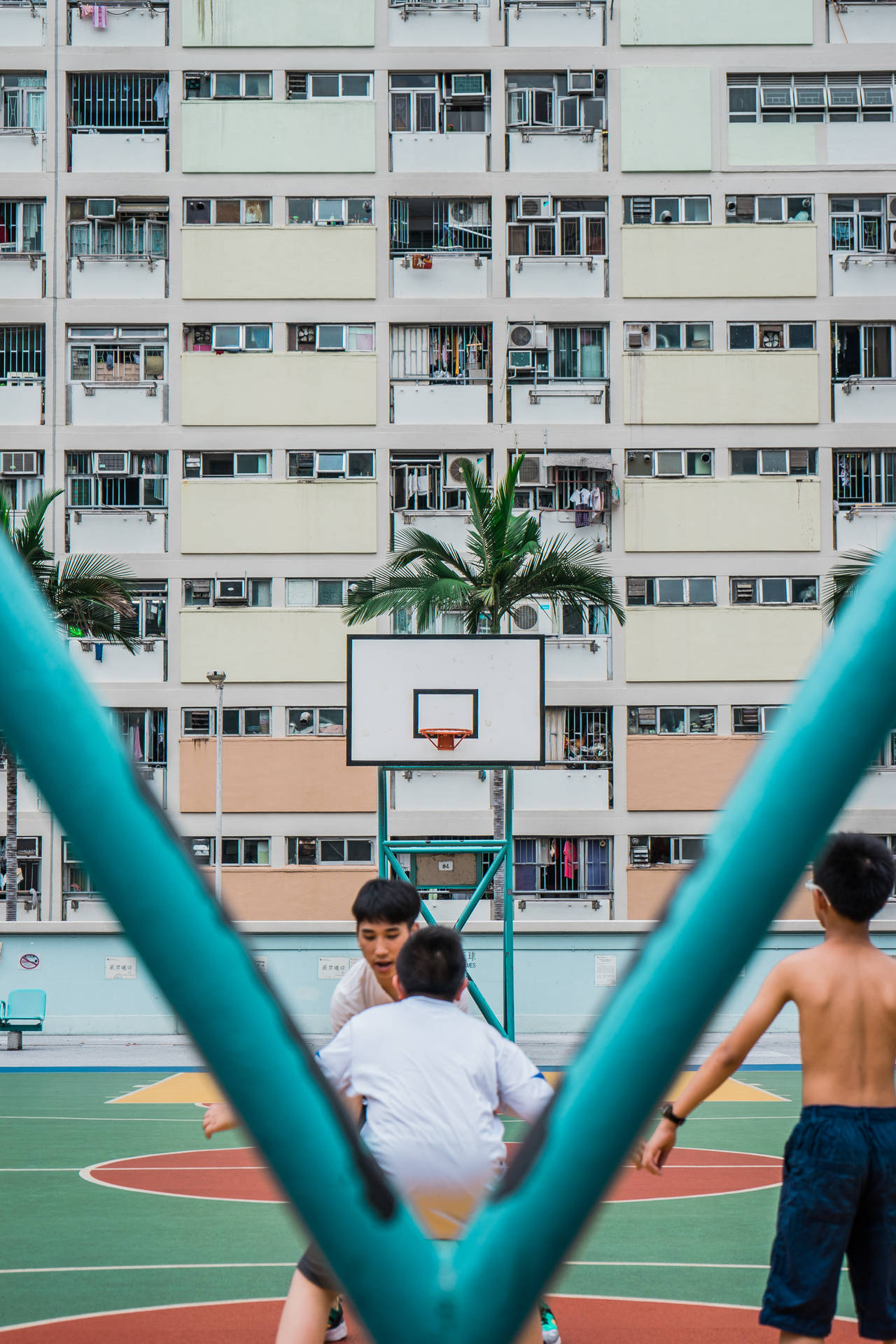 Hd Basketball In Condominium