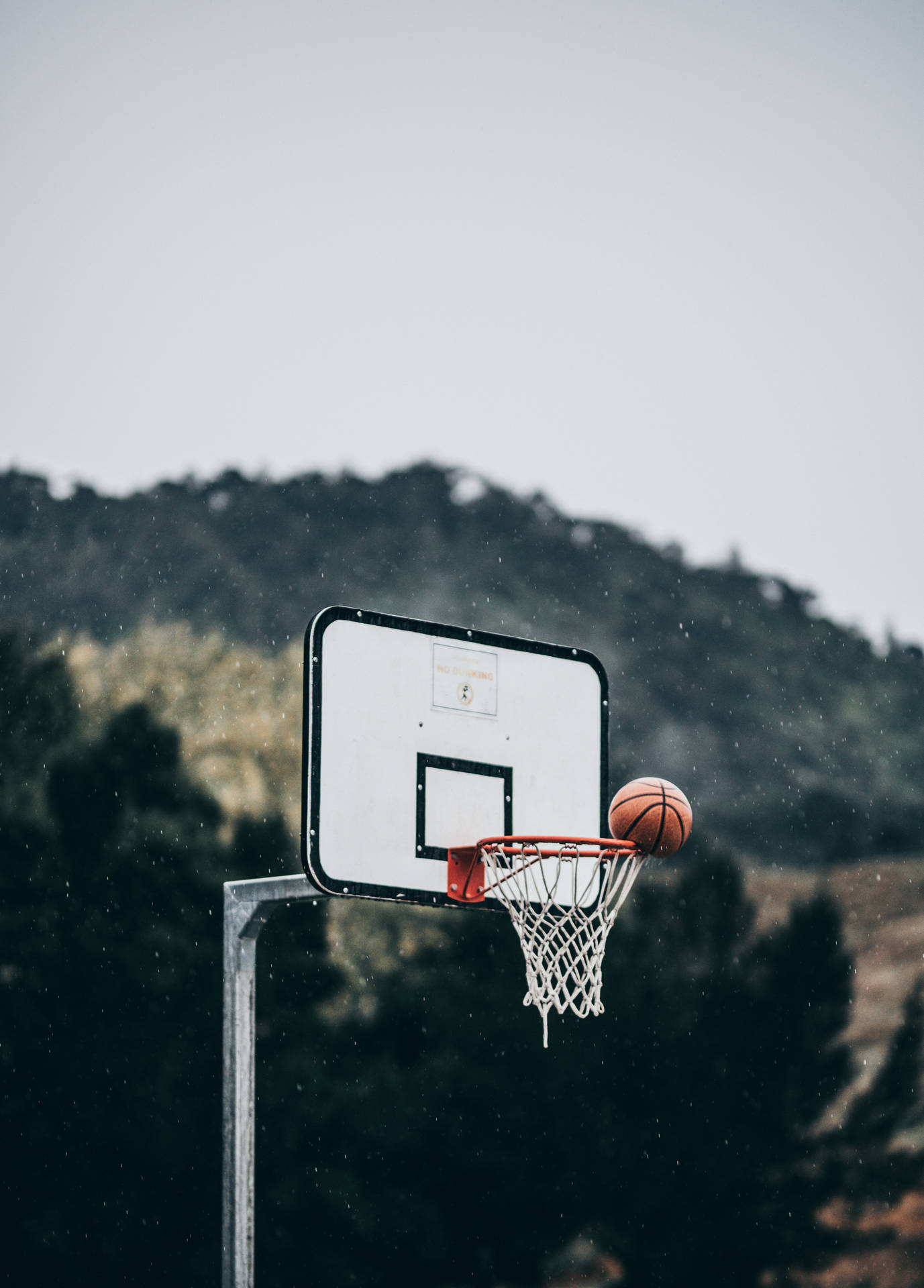 Downloaden Hd-basketball-whiteboard Wallpaper | Wallpapers.com