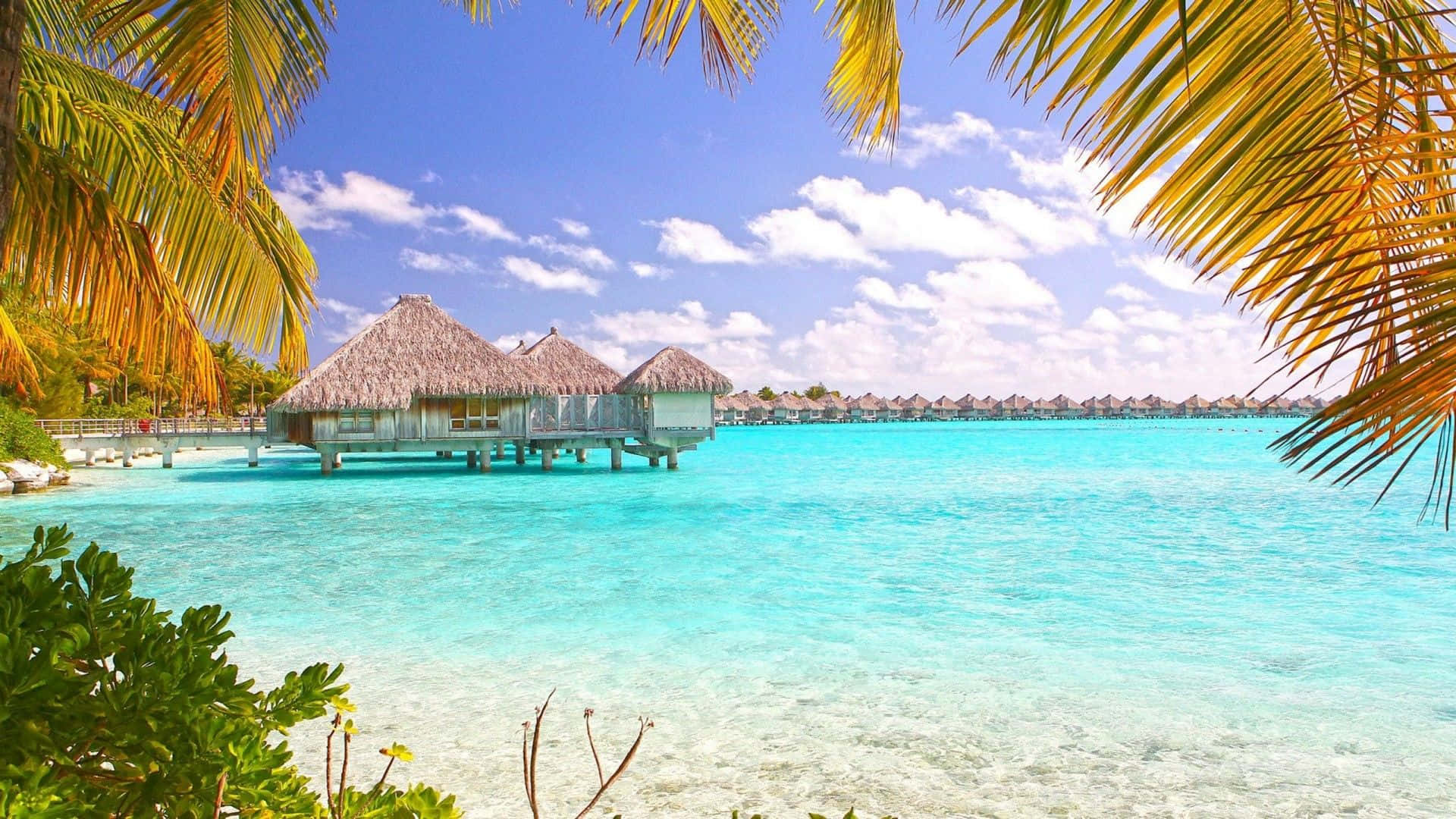 Disfrutandode Un Día Relajante En La Playa.