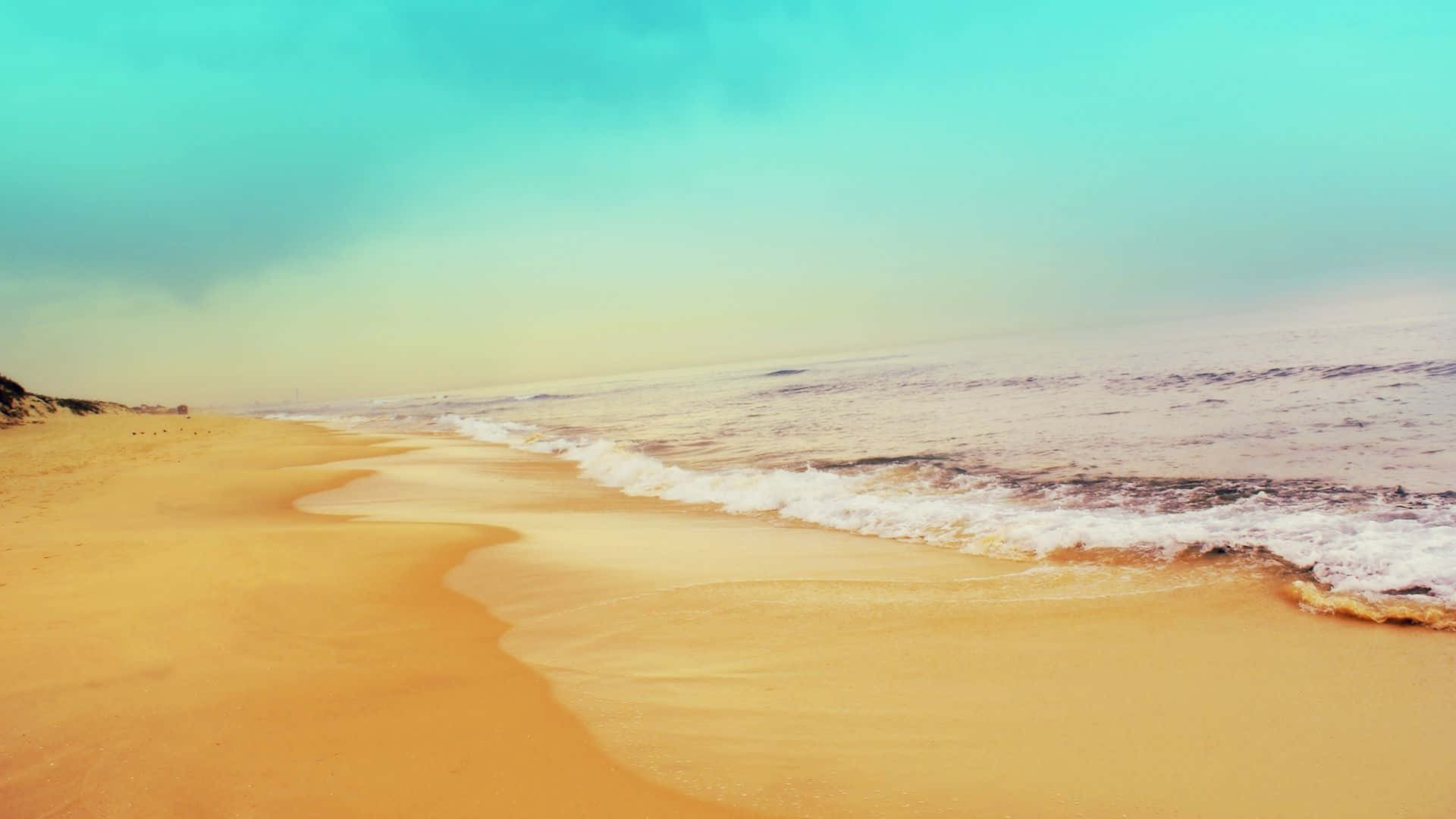 Albaestiva Su Una Spiaggia Appartata