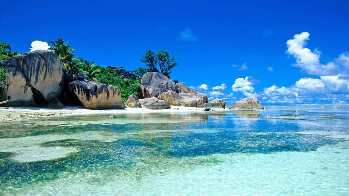 Hd Beach Island In Sri Lanka Background