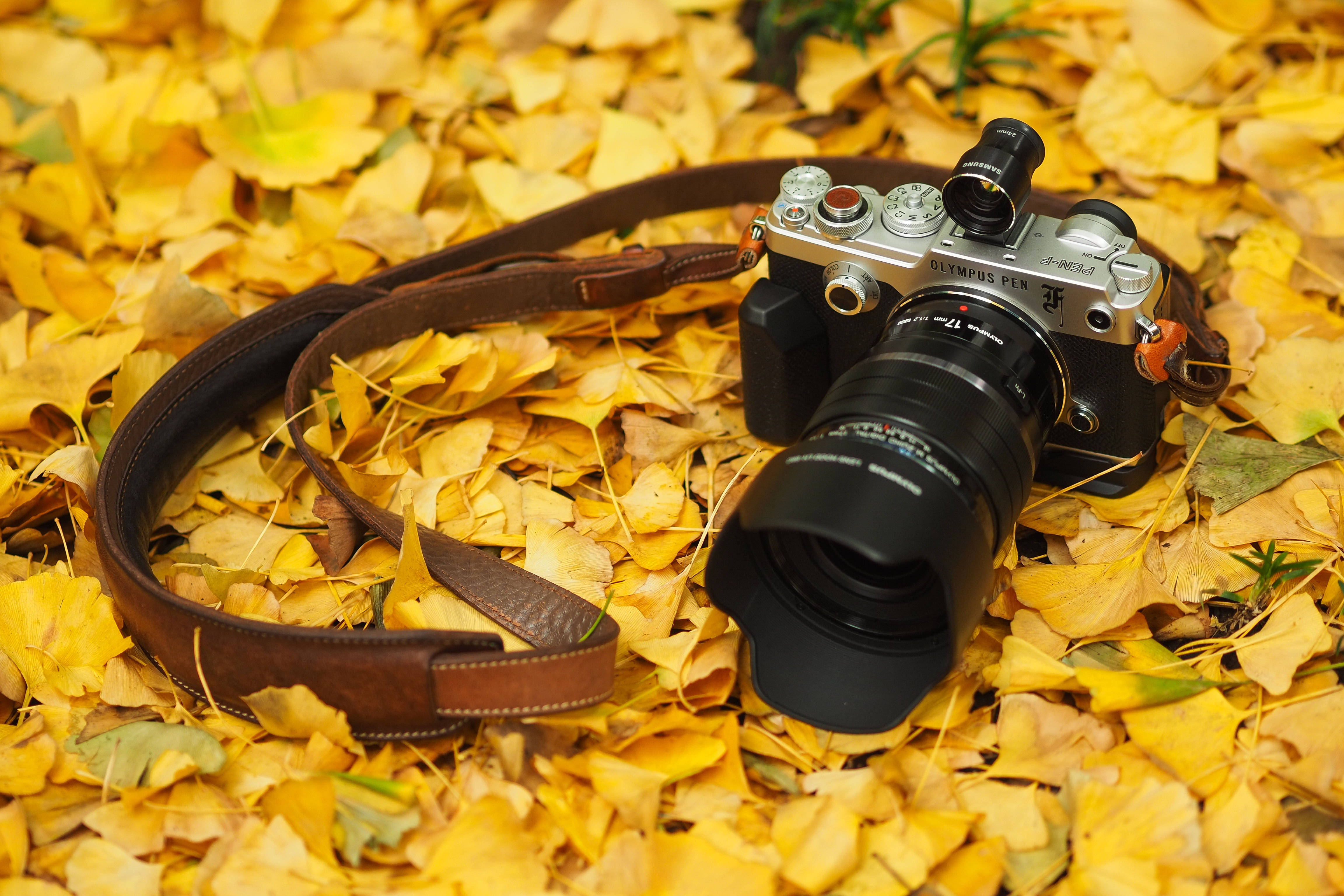 High Definition Camera on Autumnal Leaves Wallpaper