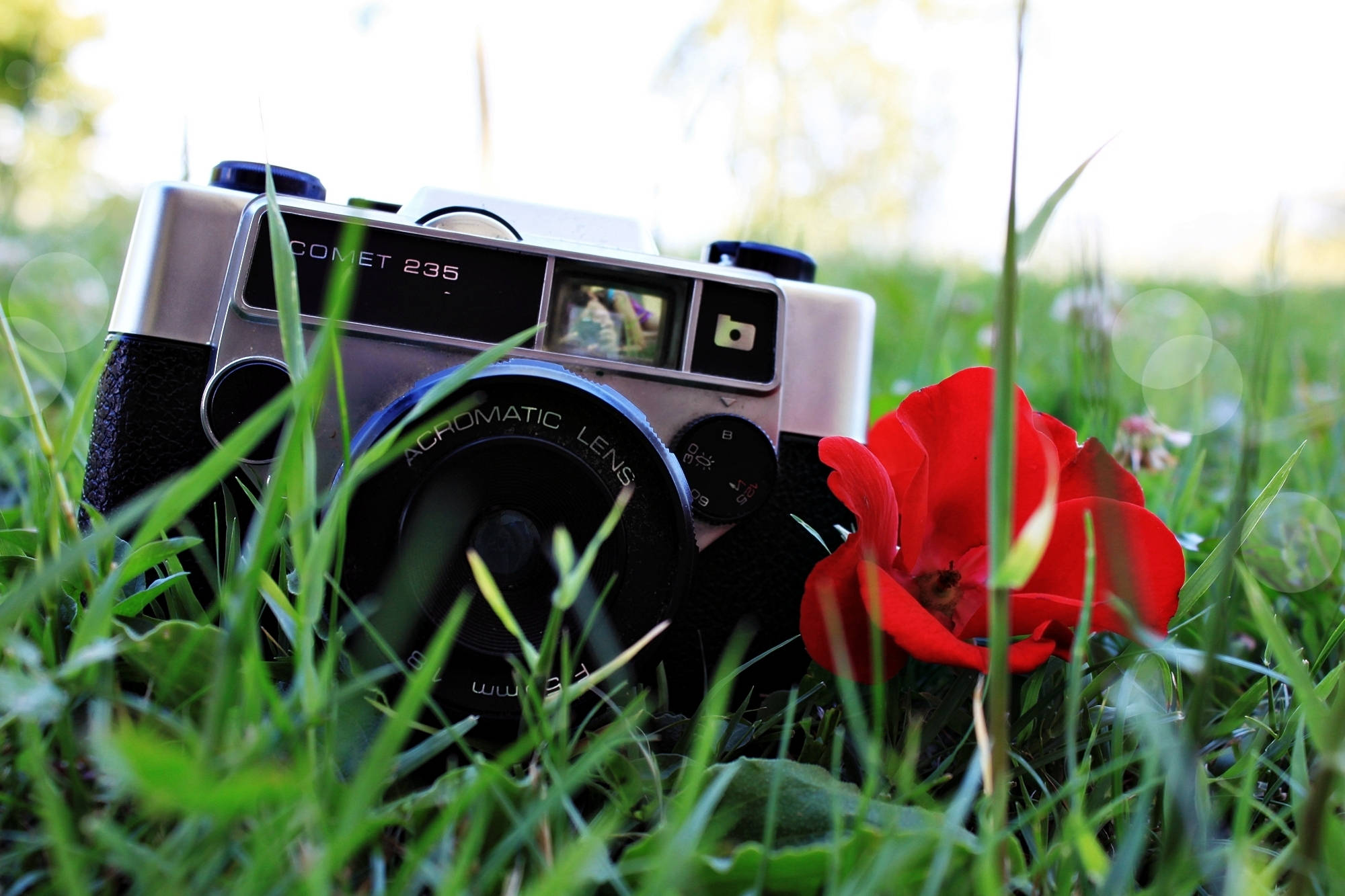 Hd Camera With A Red Flower Wallpaper
