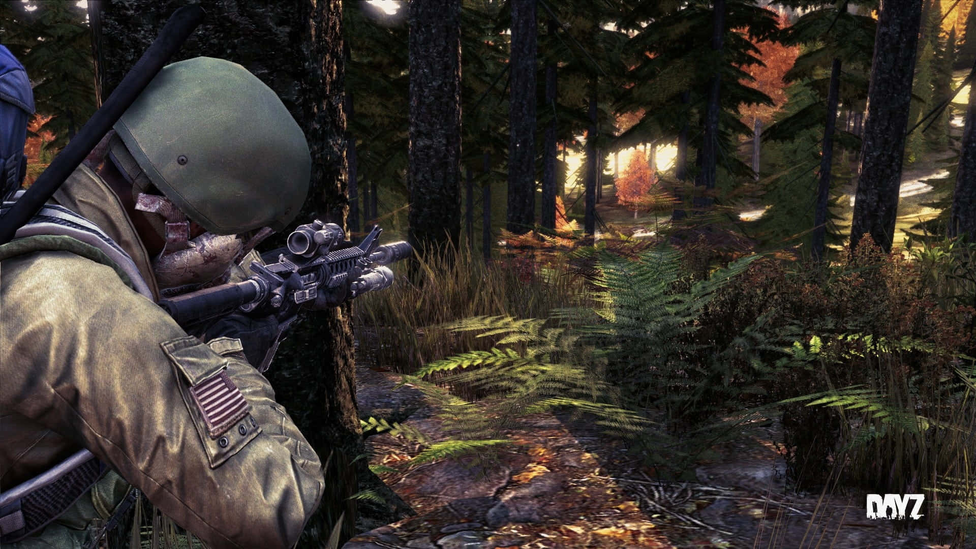 A Soldier Is In The Woods With A Rifle