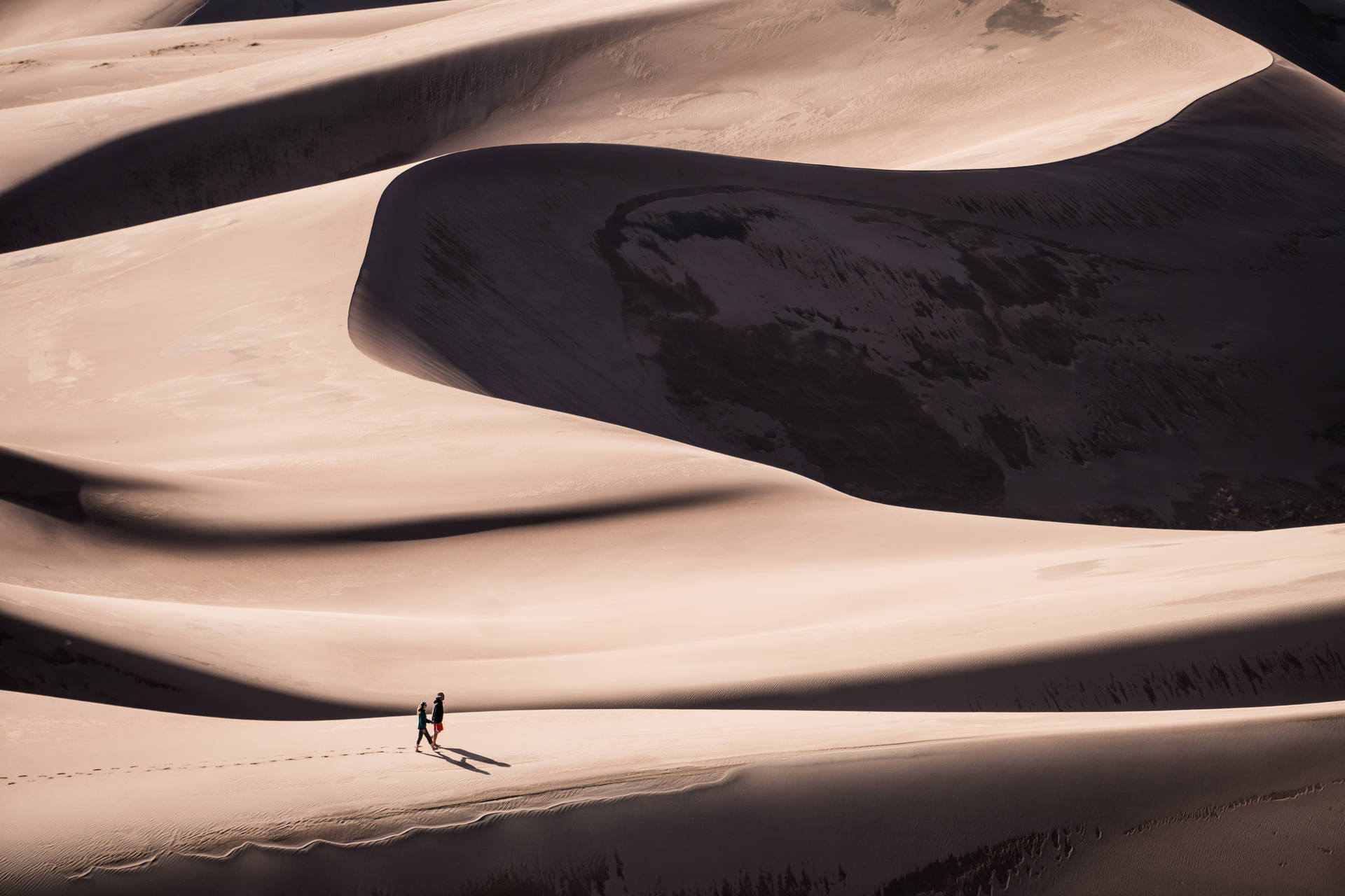 Image   Golden Sand Dunes of the Sahara Desert Wallpaper