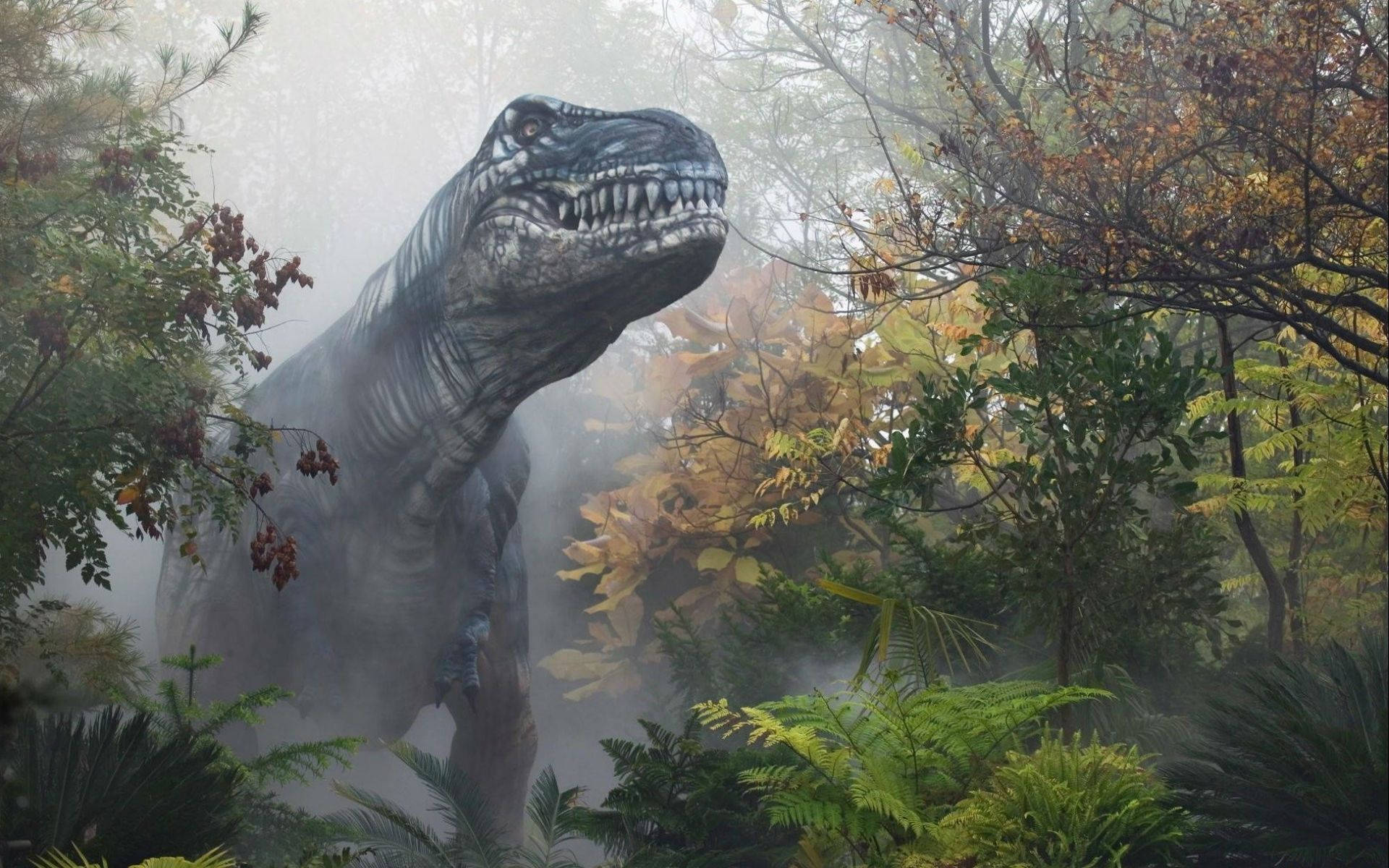 An Apatosaurus wandering through a forest Wallpaper