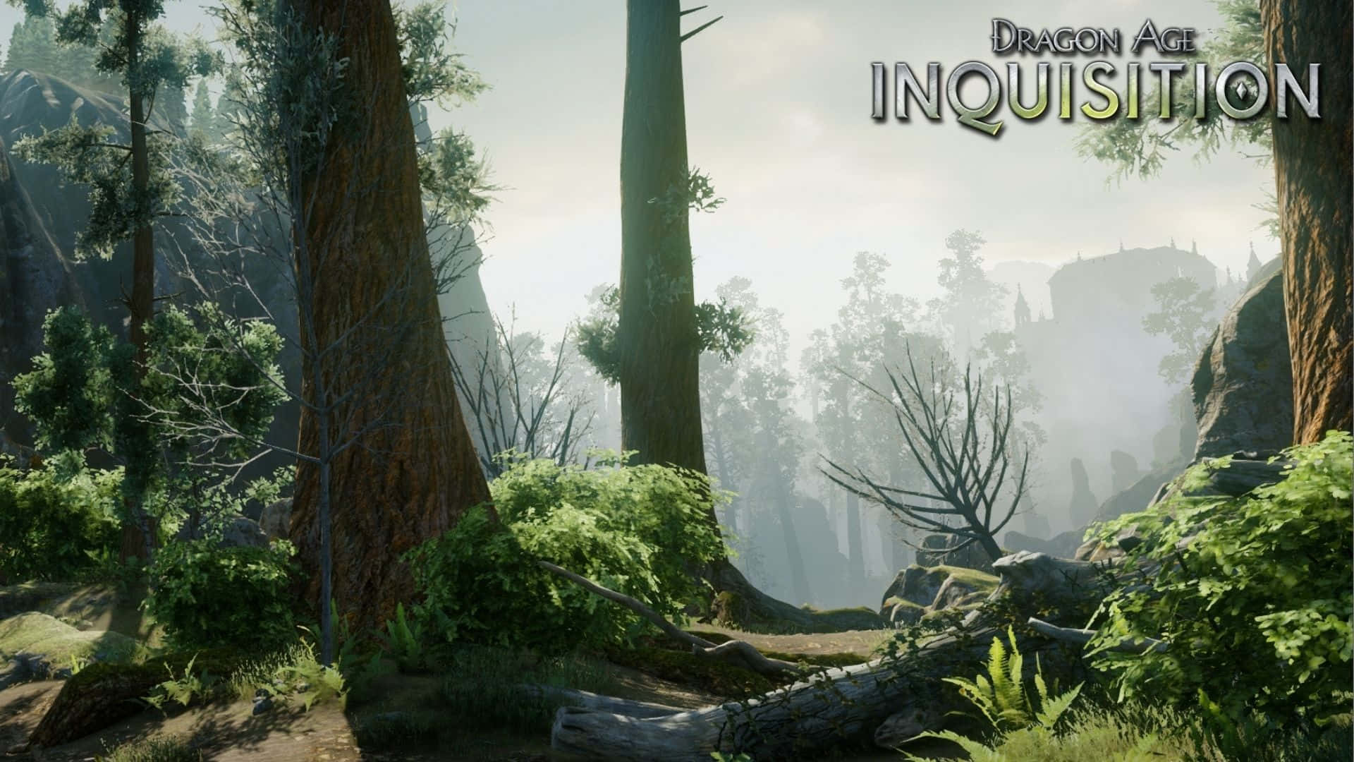 Foggy Forest Hd Dragon Age Inquisition Background
