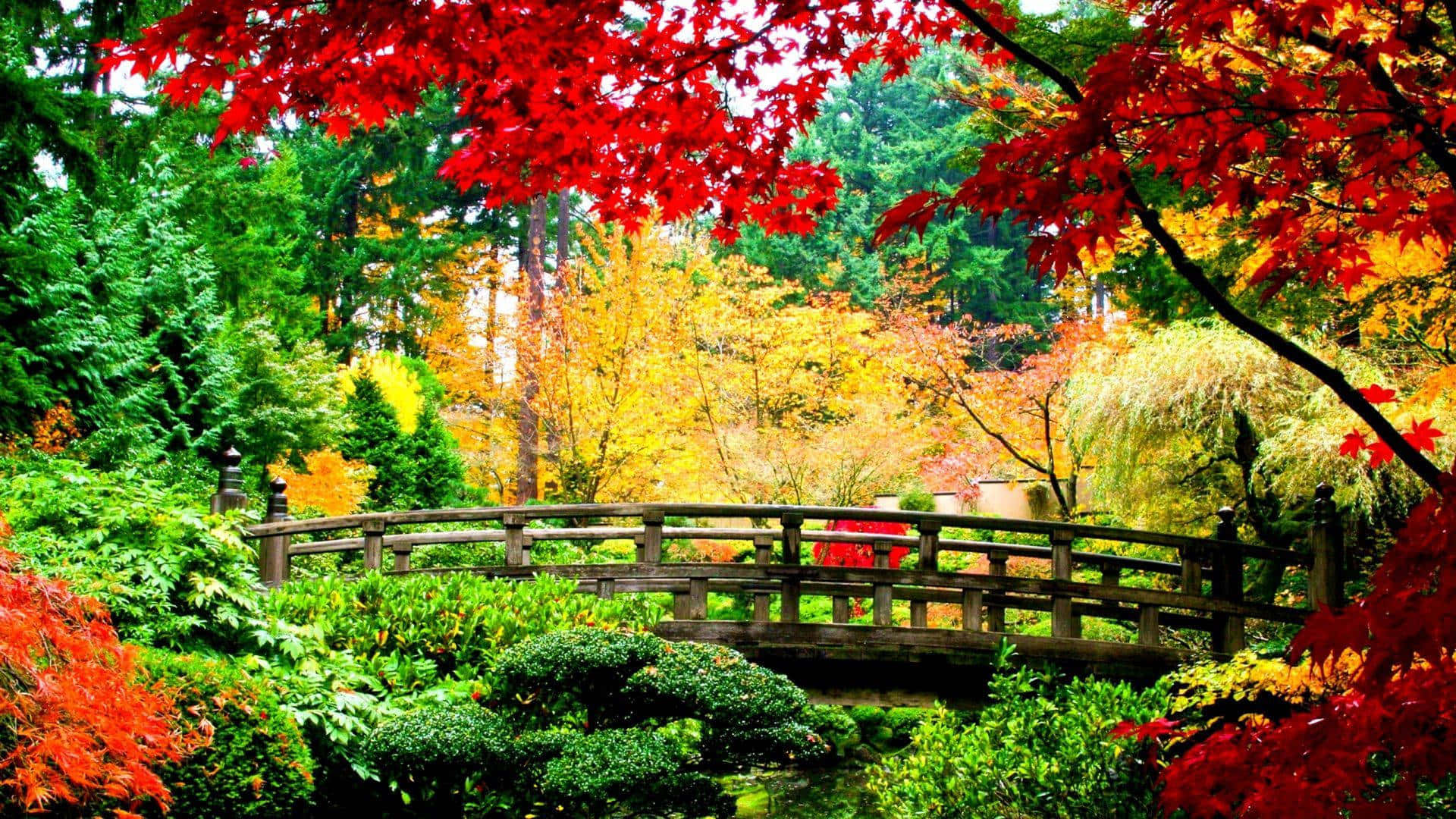 Autumn Garden Bridge Hd Fall Background