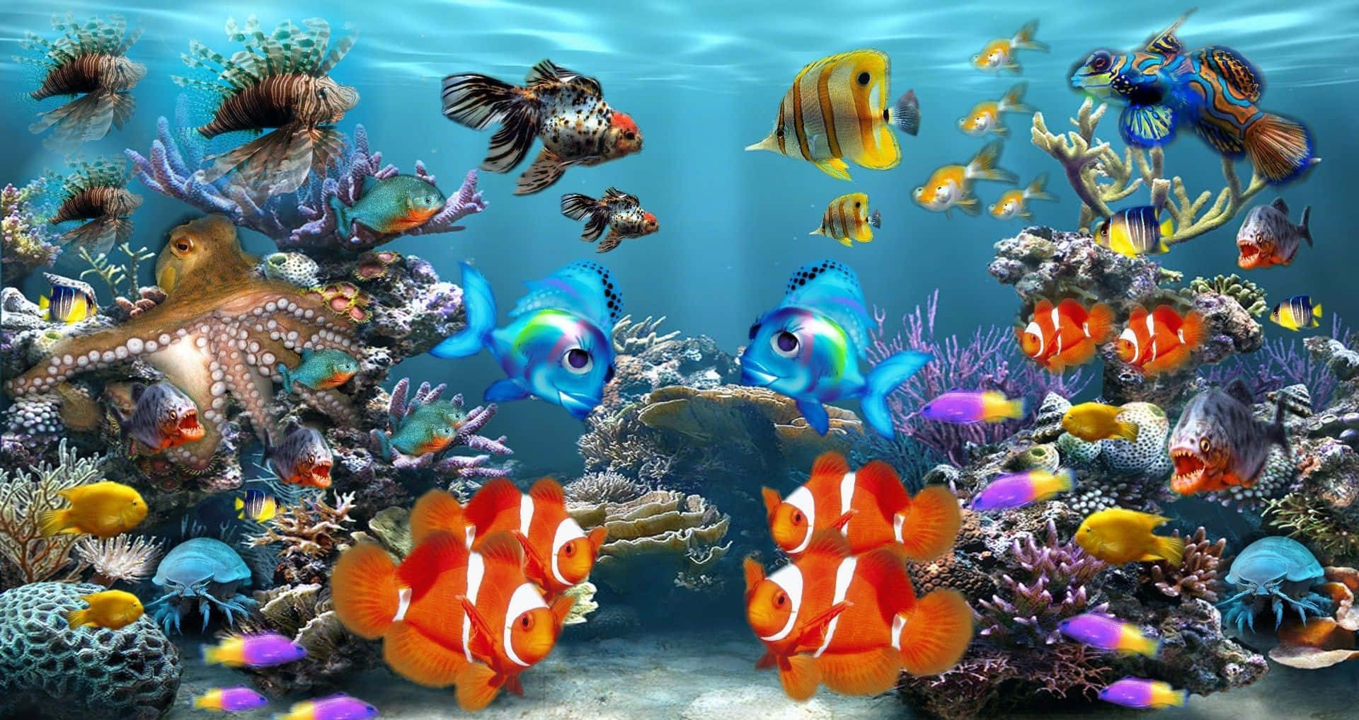 A beautiful school of exotic fish swimming in an aquarium