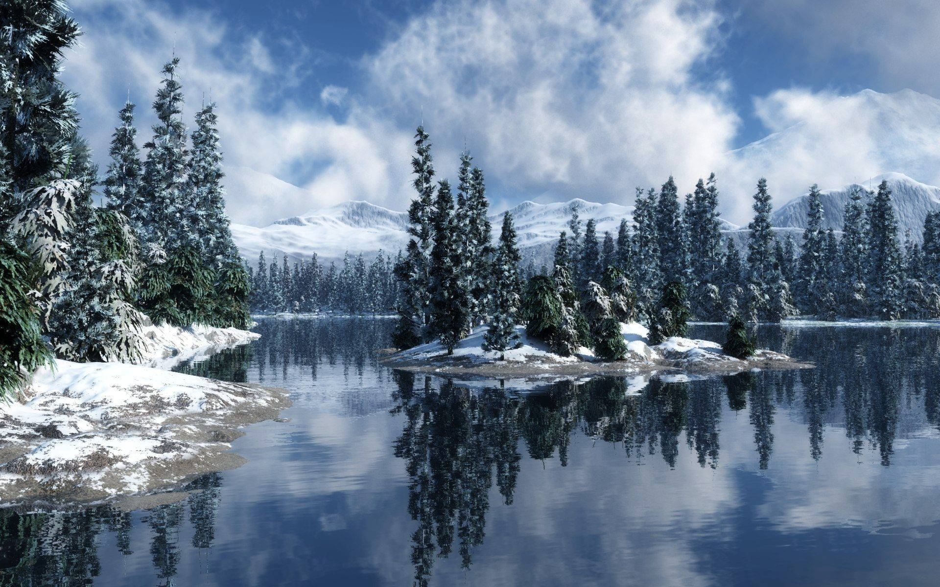Hd Forest During The Winter Wallpaper