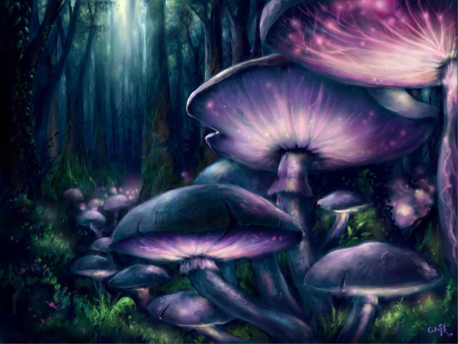 HD Skove Fulde Med Soppetapet: Tag en tur gennem denne magiske skov fuld af sovende svampe. Wallpaper