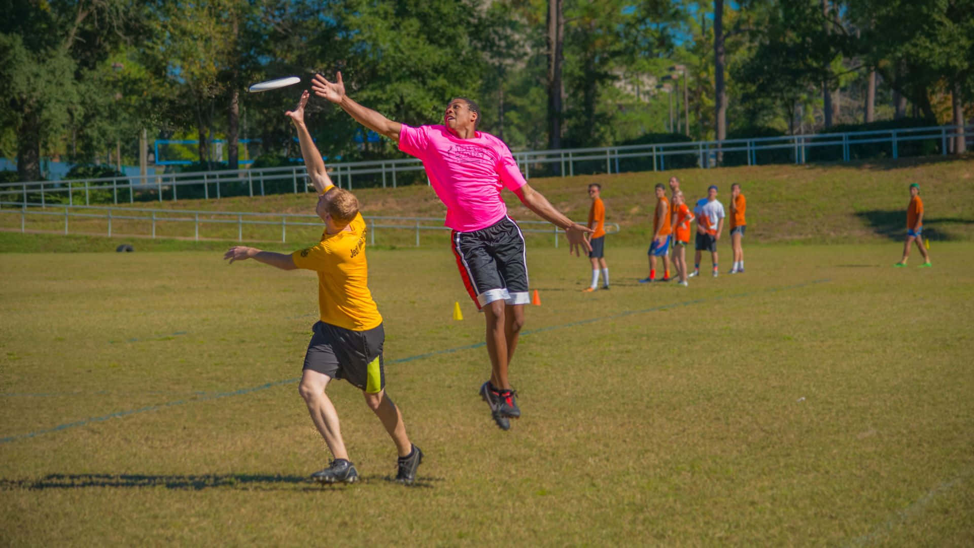 Doshombres Jugando Al Frisbee En Un Campo