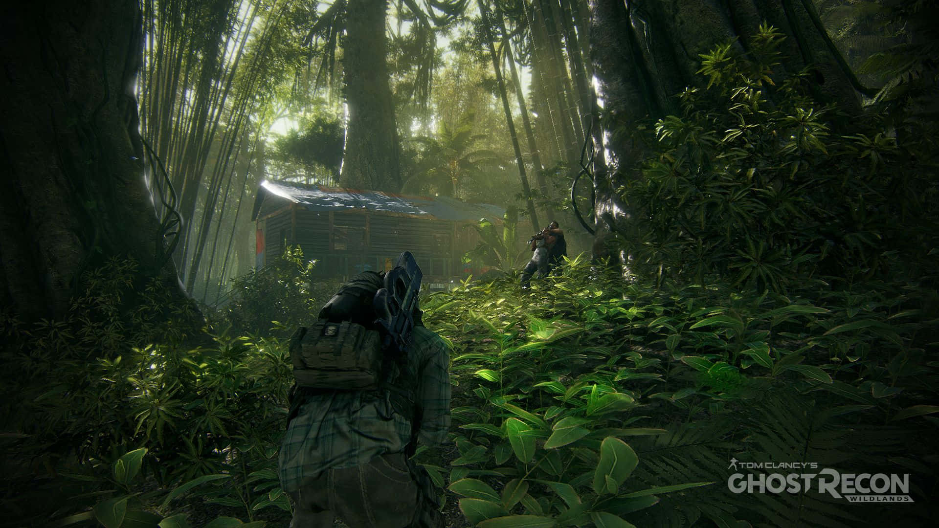 Hd Ghost Recon Wildlands Background Soldier Sneaking Around The Forest