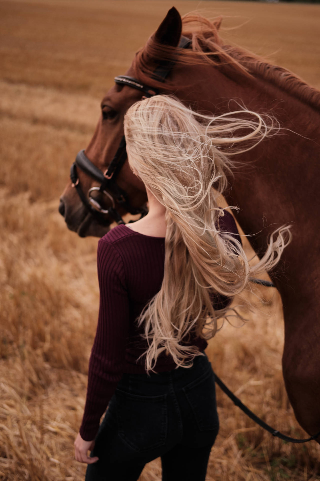 Hd Girl And Brown Horse