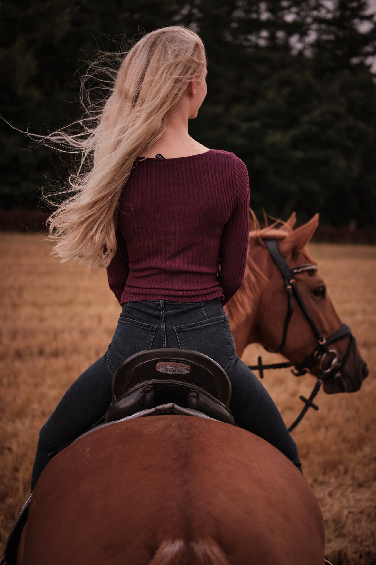 Hd Girl On Horse