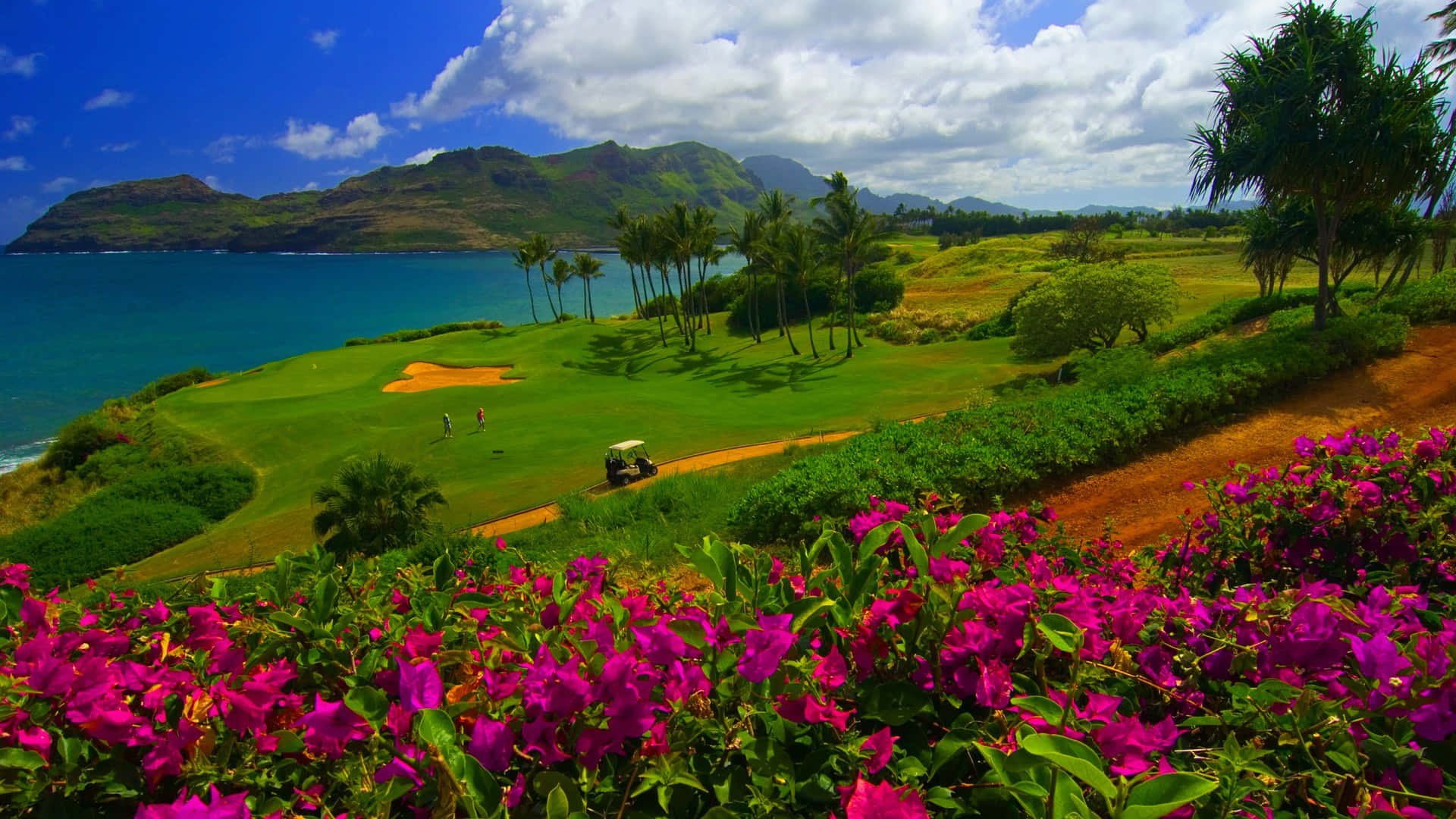 Hawaii Hill's Hd Golf Course Background