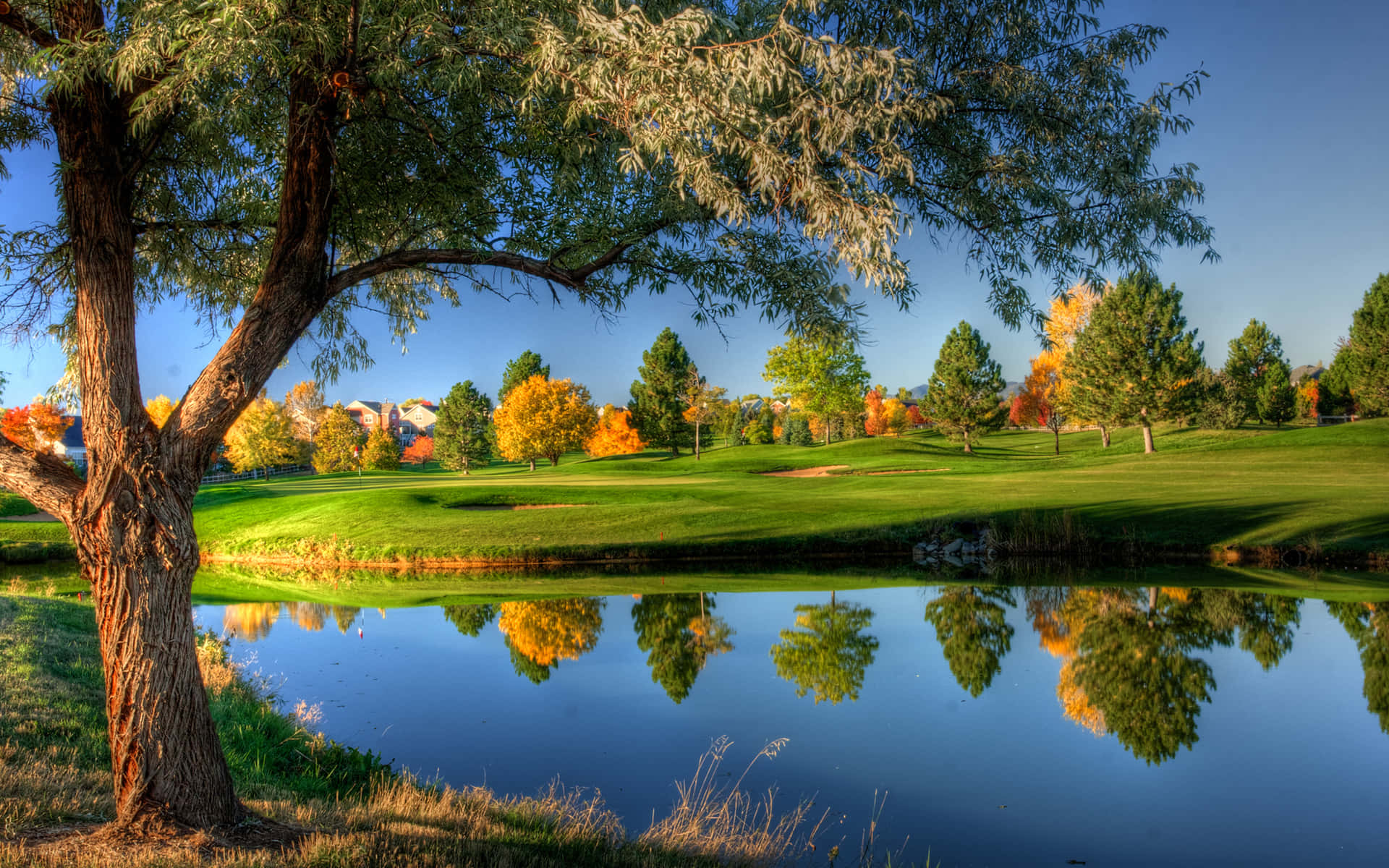 Autumn Scenery Of Hd Golf Course Background