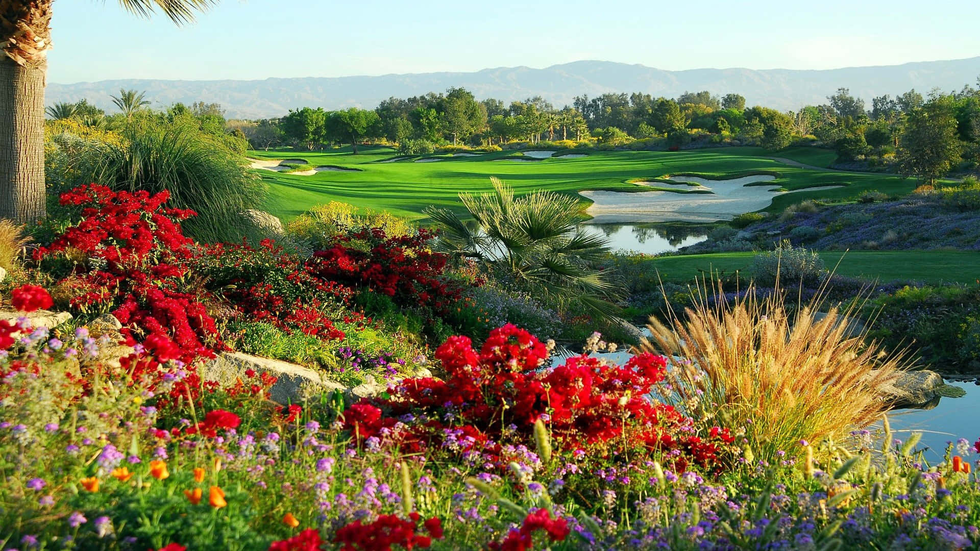 Indian Wells Hd Golf Course Background