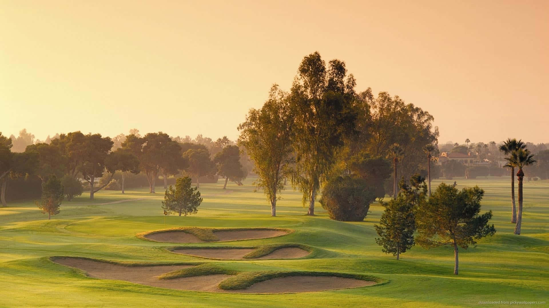 Sepia Hd Golf Course Background