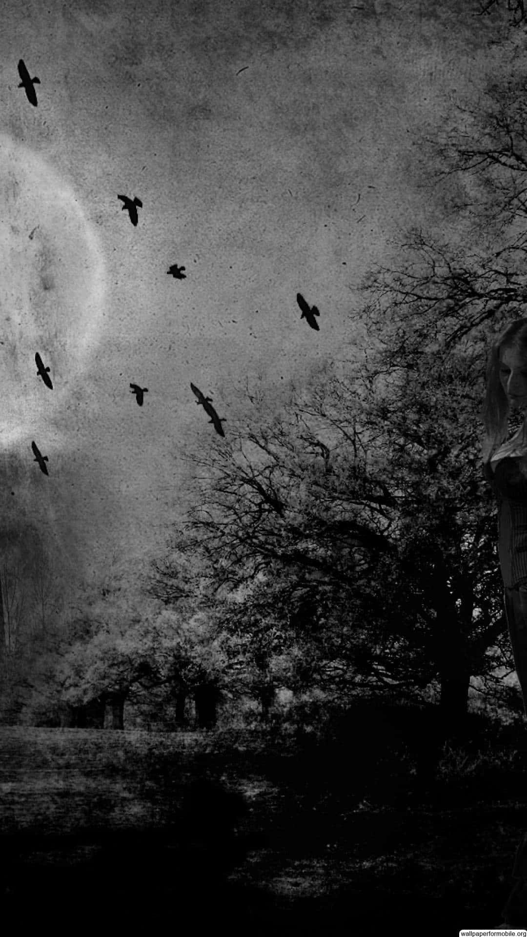 A Black And White Image Of A Woman With Birds In The Sky Wallpaper