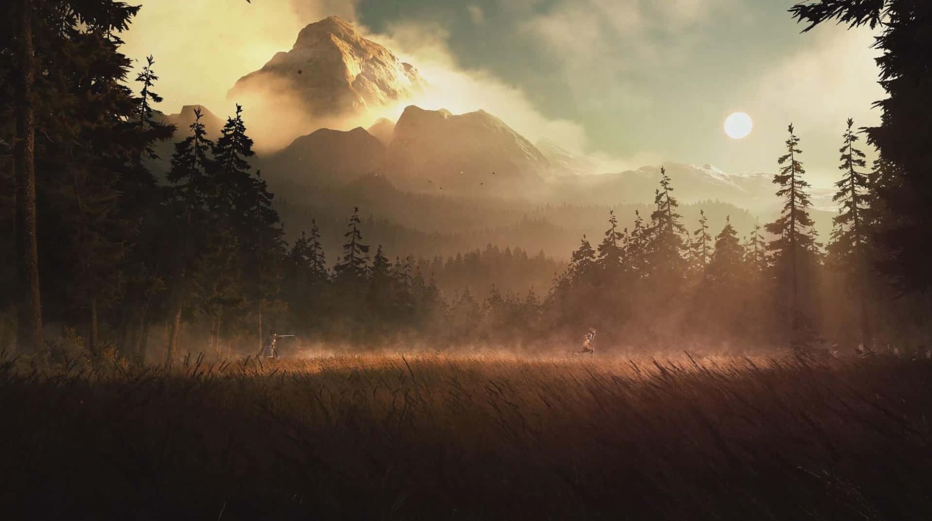 Hd Greedfall Background Field In The Middle Of A Forest