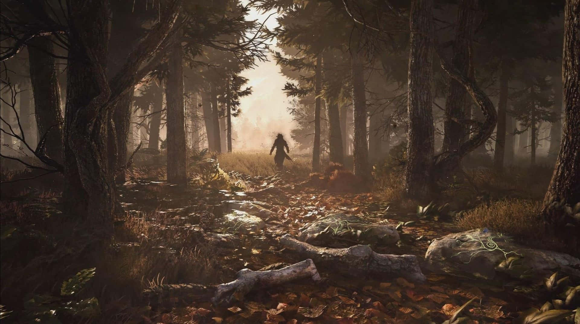 Hd Greedfall Background Adventurer Exiting A Forest Wallpaper