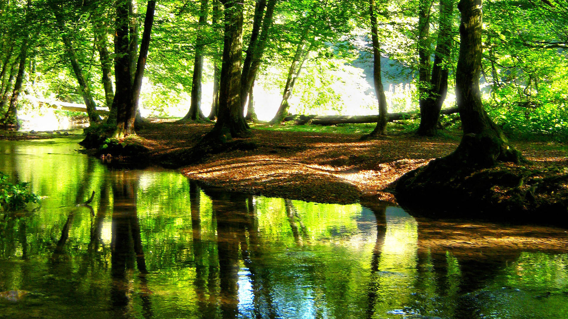 Hd Landscape Green Forest Stream