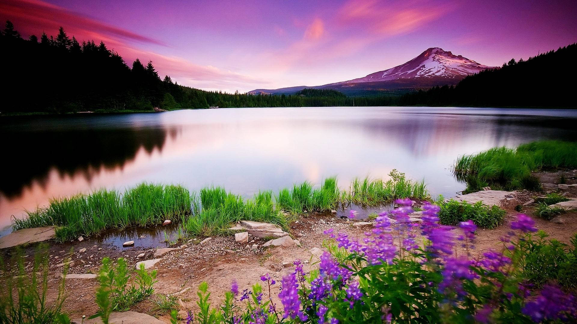 Download Hd Landscape Purple Sky Over The River Wallpaper 