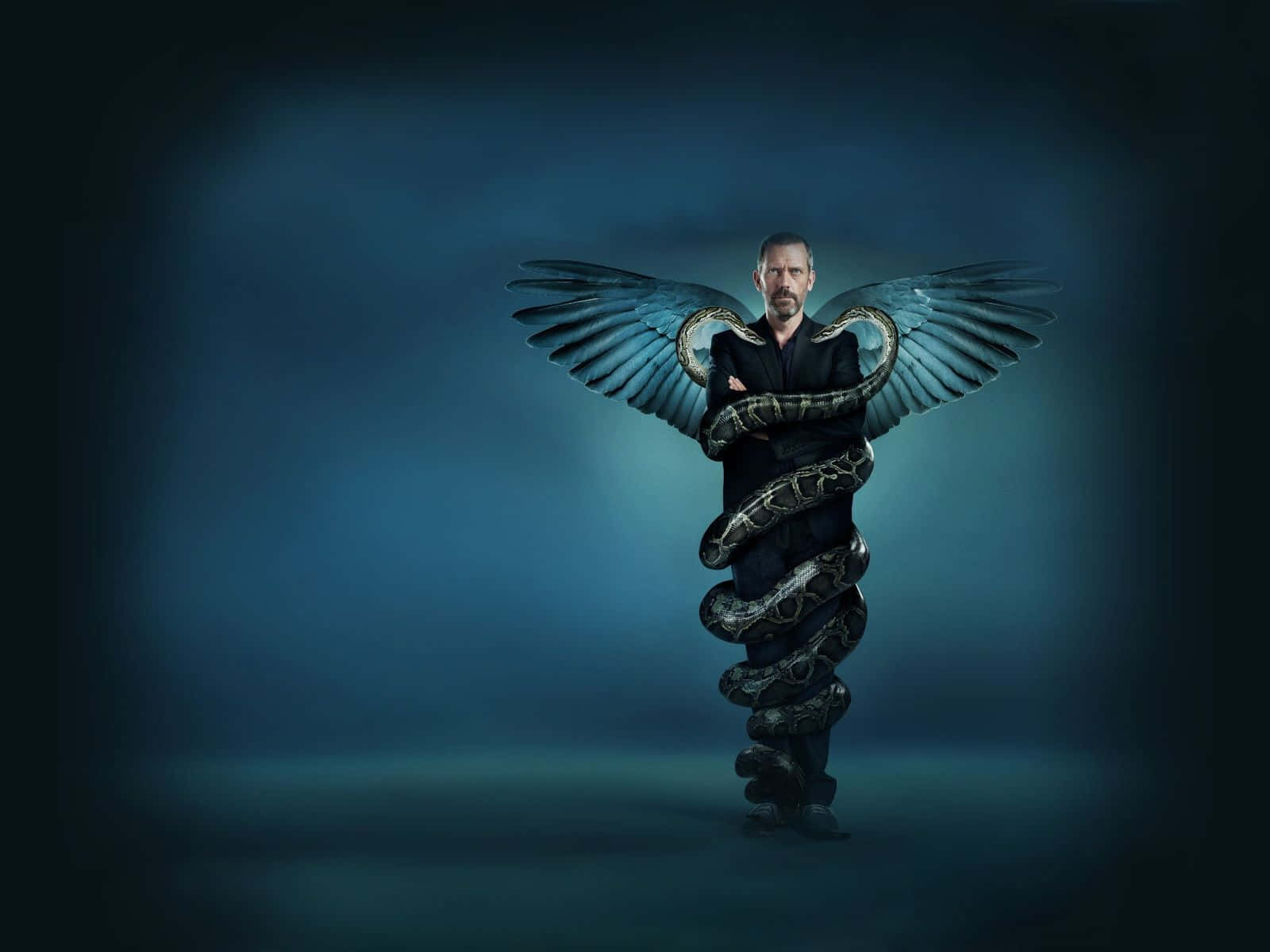 Hd Medical Staff With Wings And Snake Wallpaper