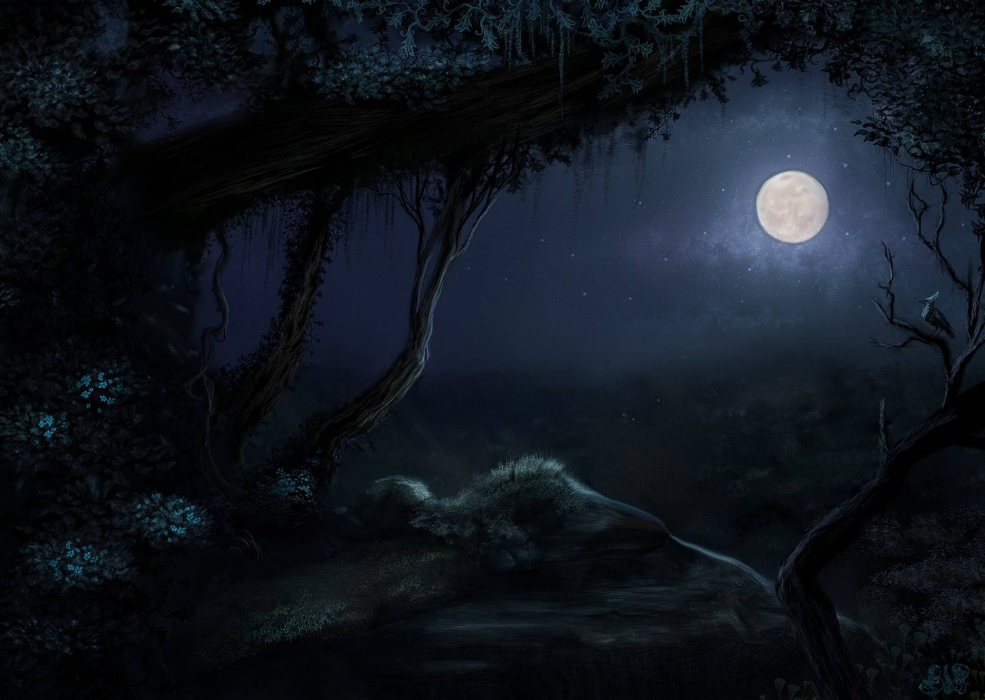 Hd Moon In A Dark Forest Wallpaper
